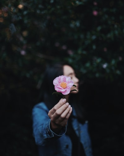 举着粉红花瓣的女人的选择性聚焦摄影